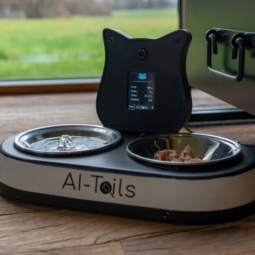 Станция оценки состояния кота: AI Tails